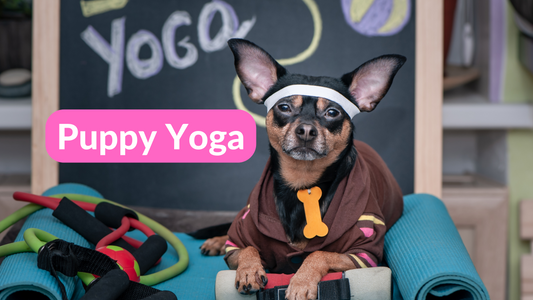 puppy yoga