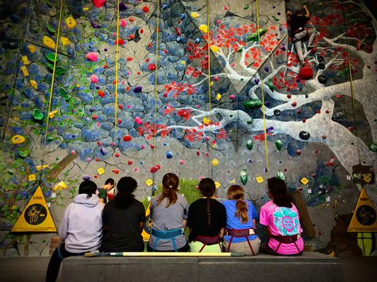 Kids Birthday Party At Rock Climbing Gym