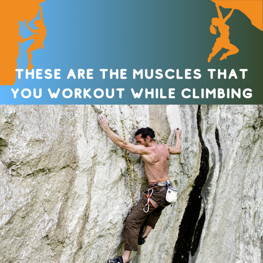 What Muscles Does Rock Climbing Work Out?